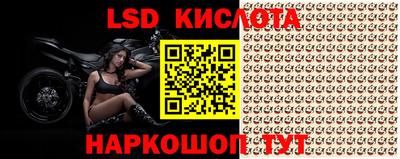 PSILOCYBIN Заводоуковск