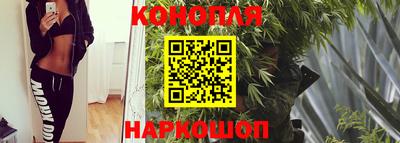 PSILOCYBIN Заводоуковск