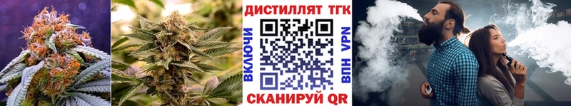 как найти закладки  Корсаков  ТГК жижа 