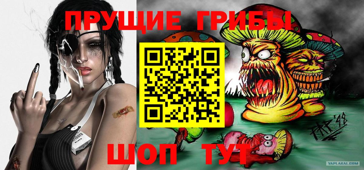 Корсаков  Галлюциногенные грибы GOLDEN TEACHER  Псилоцибиновые грибы прущие грибы  Вход с VPN 