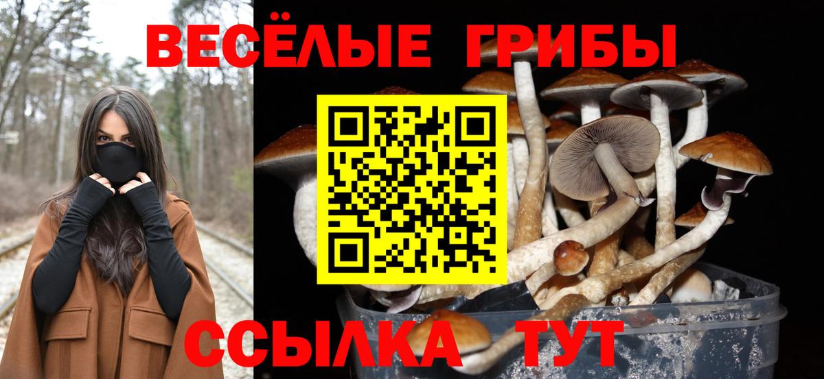 Псилоцибиновые грибы мухоморы Корсаков
