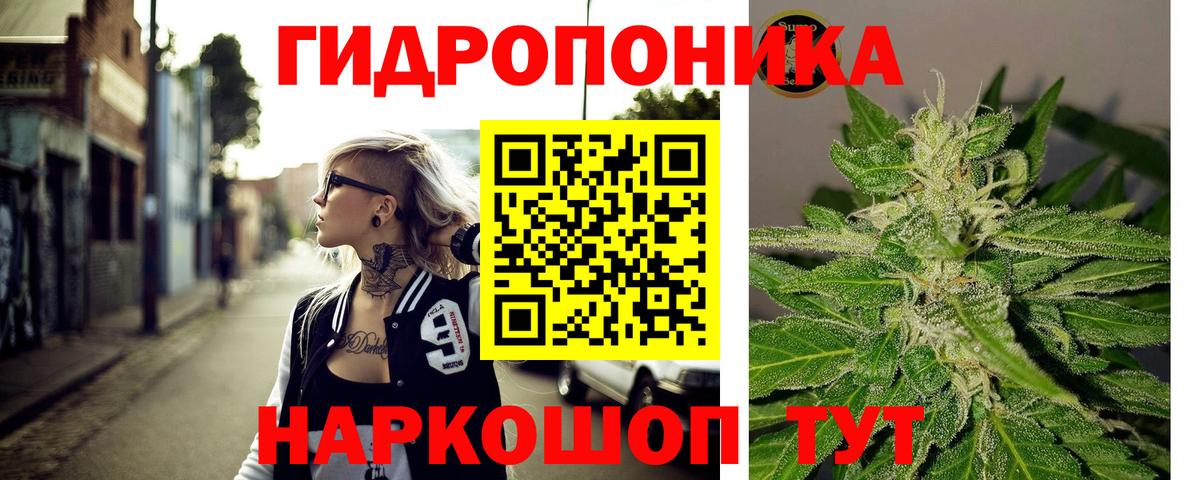 Канабис сатива  Конопля марихуана  Вход с VPN  Корсаков  Конопля LSD WEED 